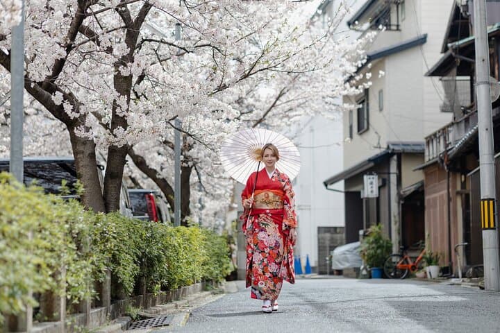 Kimono Rental at Kiyomizudera: Dress, Hairstyle & Photoshoot in Kyoto photo 5