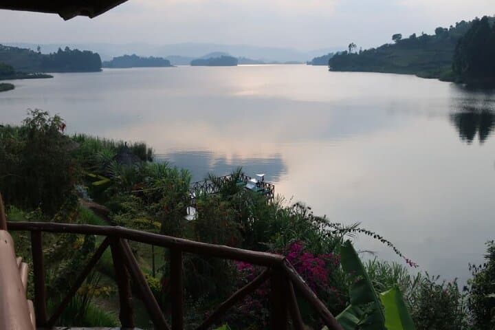 8-Day Uganda Safari: Chimp Tracking, Gorilla Trekking & Kazinga Boat Cruise photo 6