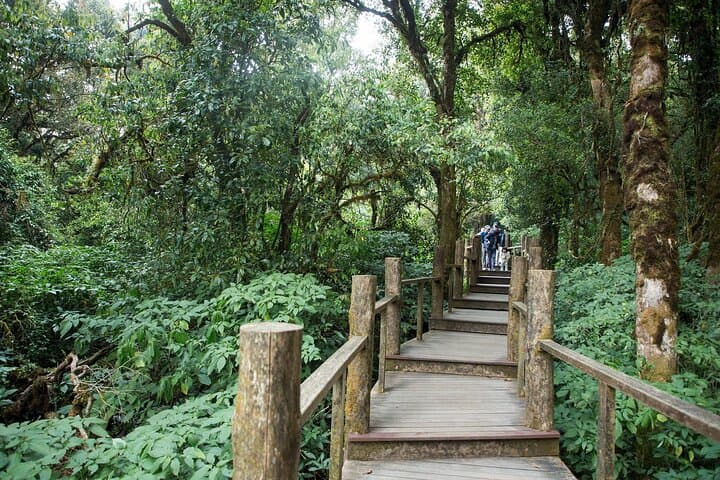 Doi Inthanon Summit, Waterfalls & Hill Tribe Day Tour from Chiang Mai photo 2