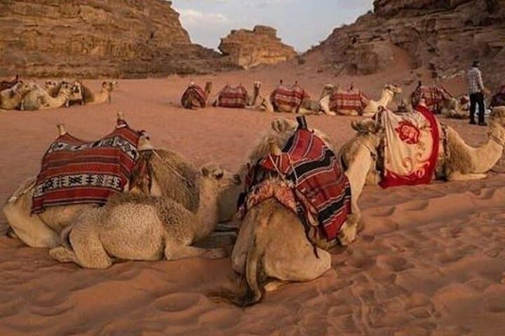 Super Safari 4WD Tour in Hurghada: A Thrilling Desert Adventure with Bedouin Culture photo 3
