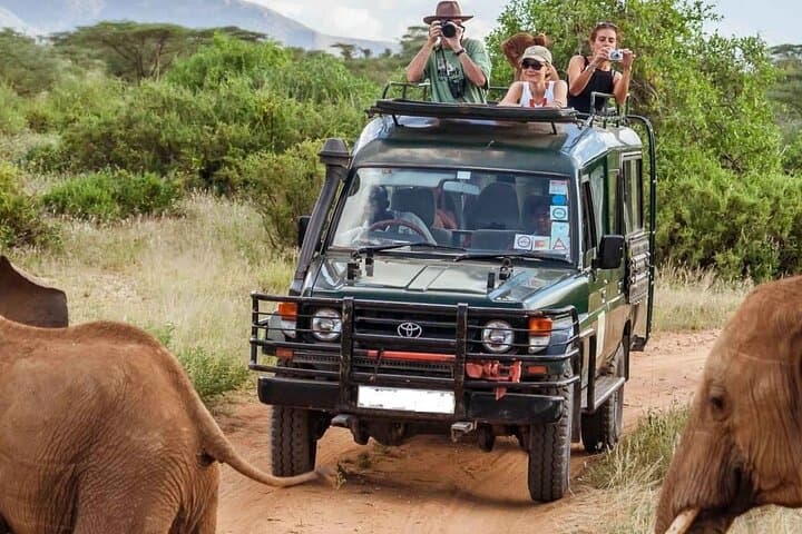 7-Day Kenya Safari: Masai Mara, Nakuru & Amboseli from Nairobi