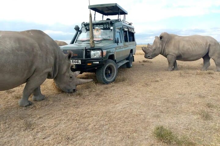10-Day Kenya Wildlife Safari and Diani Beach Holiday photo 2