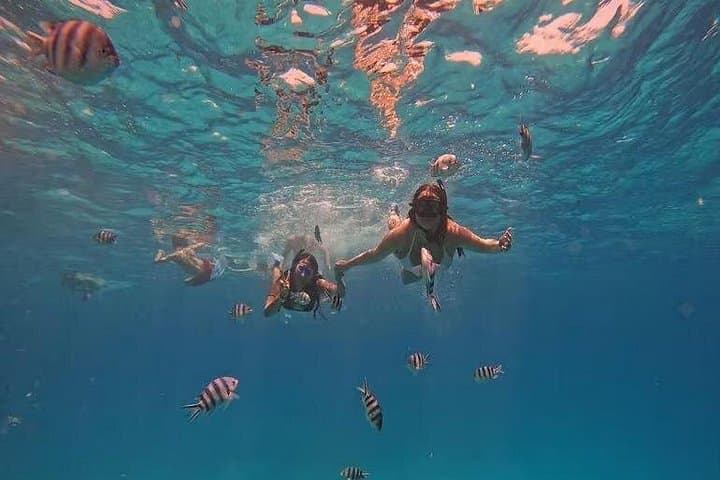 Orange Island Snorkeling Adventure in Hurghada: Full-Day Red Sea Trip with Lunch photo 3