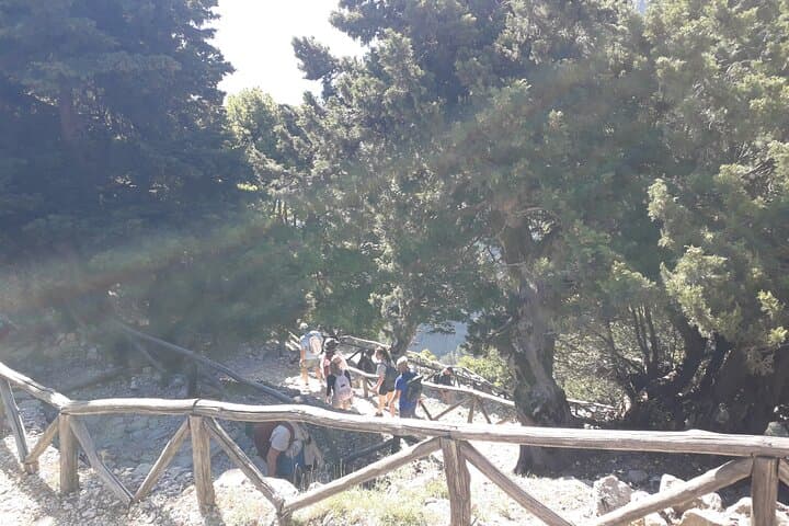 Private Half-Day Samaria Gorge View & Cretan Botanical Garden Tour from Chania photo 5