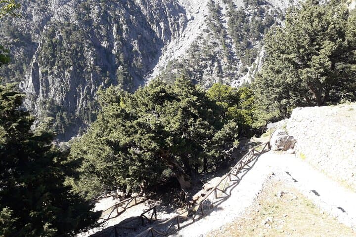 Private Half-Day Samaria Gorge View & Cretan Botanical Garden Tour from Chania photo 6