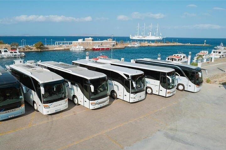 Elia Beach Shuttle from Mykonos Port: 3-Hour Beach Escape for Cruise Passengers photo 3