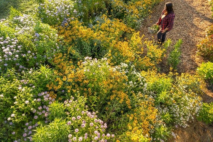 Pick Your Own Flowers at DaCy Meadow — Hudson Valley Farm Experience photo 3