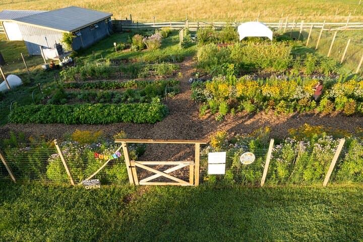 Pick Your Own Flowers at DaCy Meadow — Hudson Valley Farm Experience photo 4