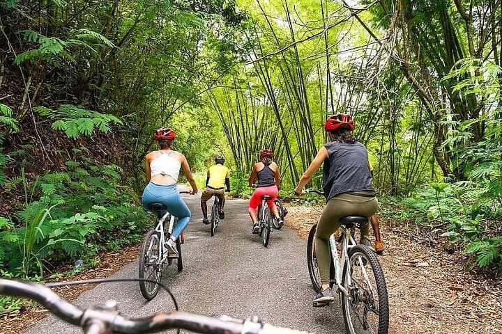Blue Mountain Bicycle Tour Experience: Downhill Ride Through Jamaica’s High Forests