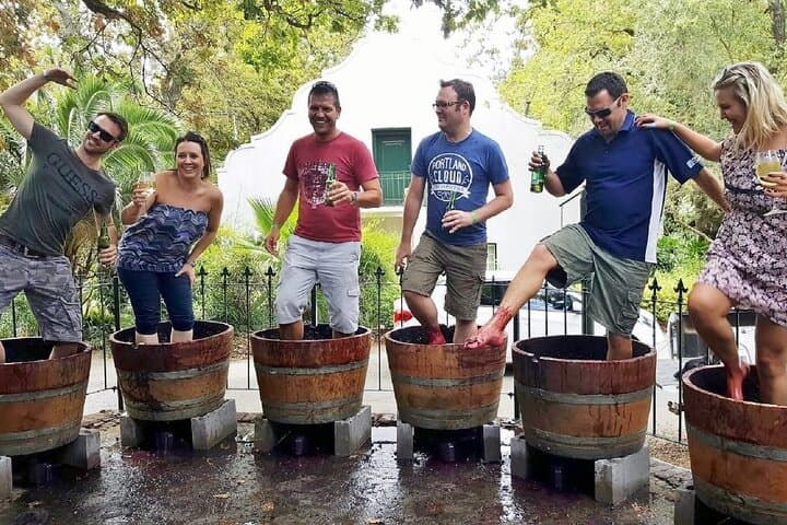Full-Day Stellenbosch Winelands Tour: Cellars, Tastings & Estate Views