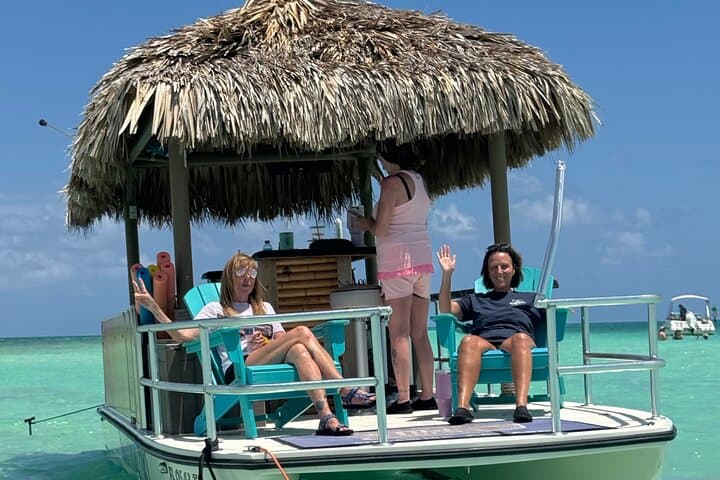 2-Hour Private Day Charter in Islamorada: Florida Bay Dolphin & Wildlife Cruise photo 1