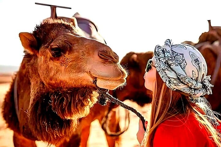 4-Day Private Merzouga Desert Tour From Marrakech: Camel Trek, Dunes & Atlas Passes photo 3