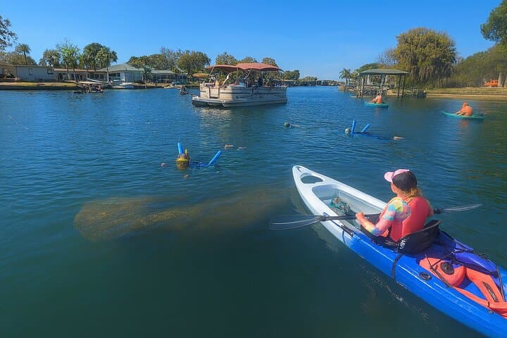 Explore Crystal River's Three Sisters Springs by Clear Kayak: Manatee and Snorkeling Adventure photo 2
