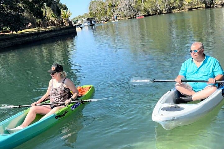 Explore Crystal River's Three Sisters Springs by Clear Kayak: Manatee and Snorkeling Adventure photo 4
