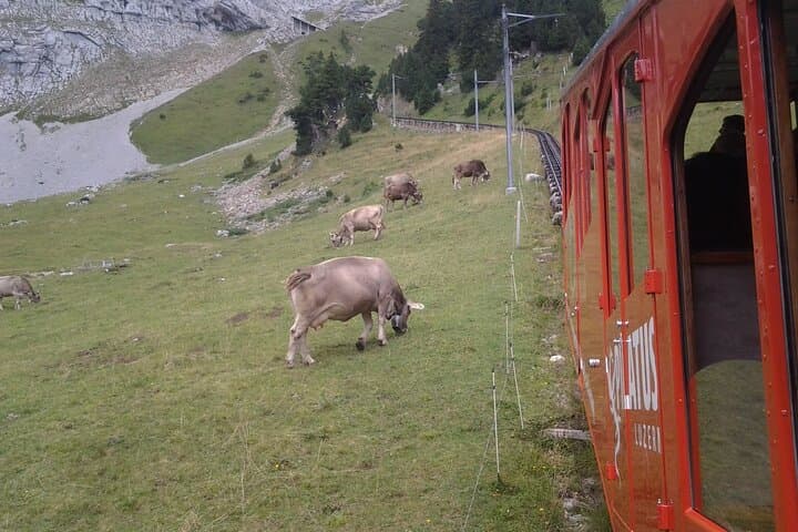 Private Golden Roundtrip to Mt. Pilatus from Luzern photo 3