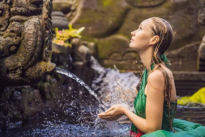 Ubud Day Tour: Wildlife, Temples, Rice Fields & Tegenungan Waterfall
