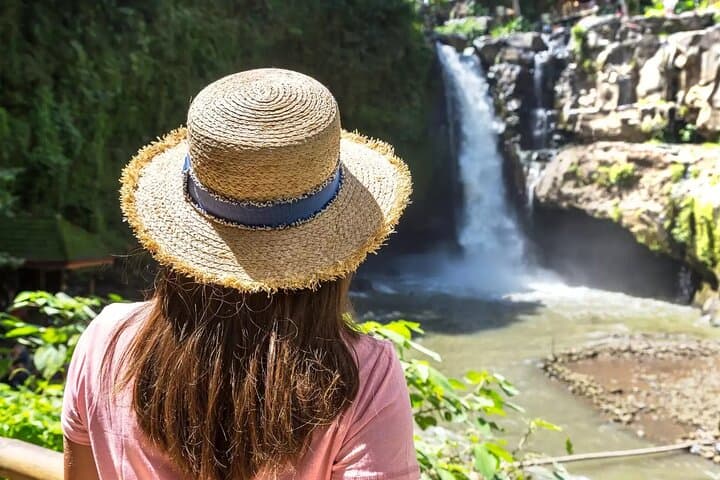 Ubud Day Tour: Wildlife, Temples, Rice Fields & Tegenungan Waterfall photo 3
