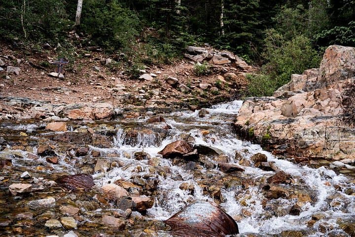 La Plata Canyon Jeep Tour: 2.5-Hour Open-Air 4x4 Adventure from Durango photo 3