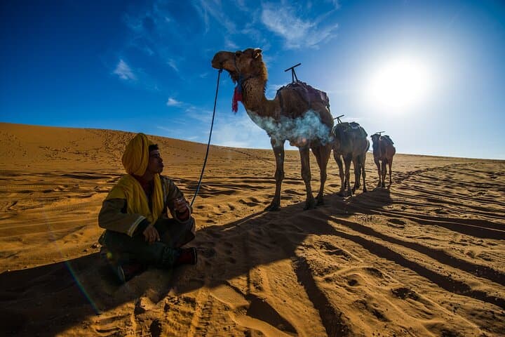 6-Day Morocco Highlights: Sahara Dunes, Atlas Passes & Imperial Cities photo 4
