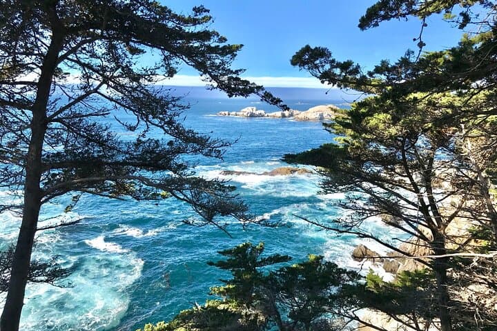 Pacific Coast Escape: Monterey Peninsula & Carmel-by-the-Sea Small-Group Day Tour photo 5