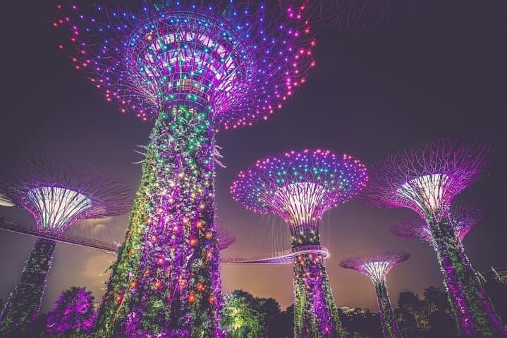 Gardens by the Bay Tickets — Cloud Forest, Flower Dome & Supertree Views photo 2