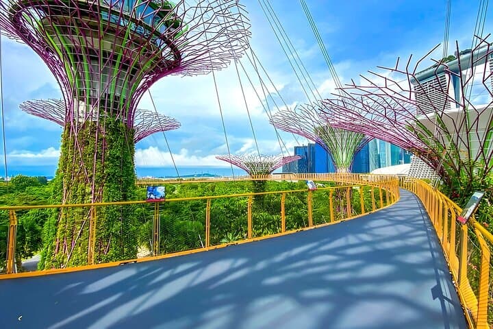 Gardens by the Bay Tickets — Cloud Forest, Flower Dome & Supertree Views photo 3