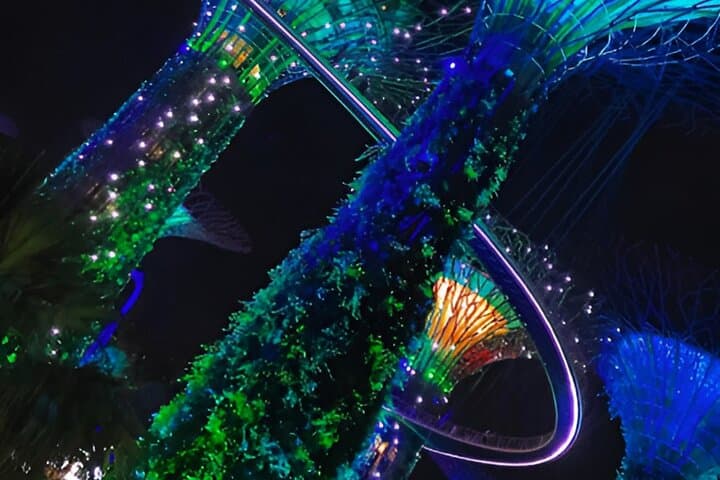 Gardens by the Bay Tickets — Cloud Forest, Flower Dome & Supertree Views photo 5