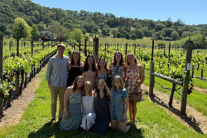 Half-Day Sonoma Wine Tasting Tour from Santa Rosa — Visit Two Wineries photo 2