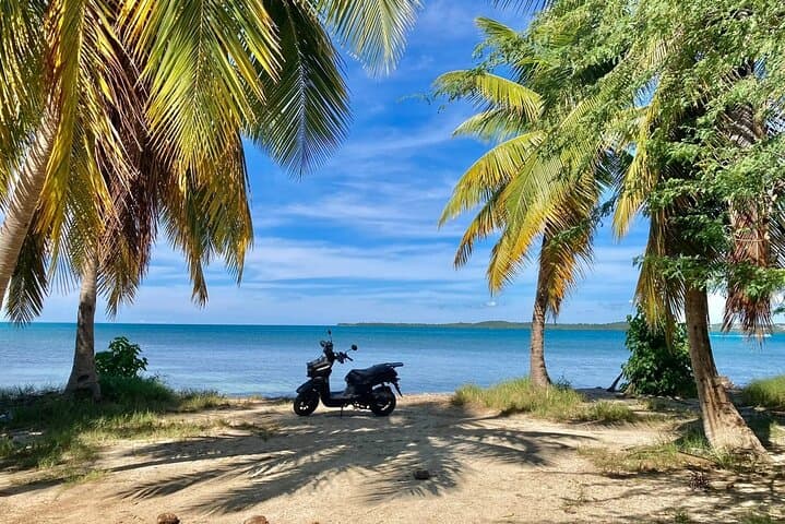 Cruise Aguadilla's Coast: Self-Guided 180cc Scooter Rental photo 3