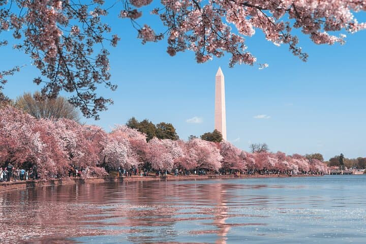 Reflections on a Nation: Self-Guided National Mall Highlights Tour in Washington DC