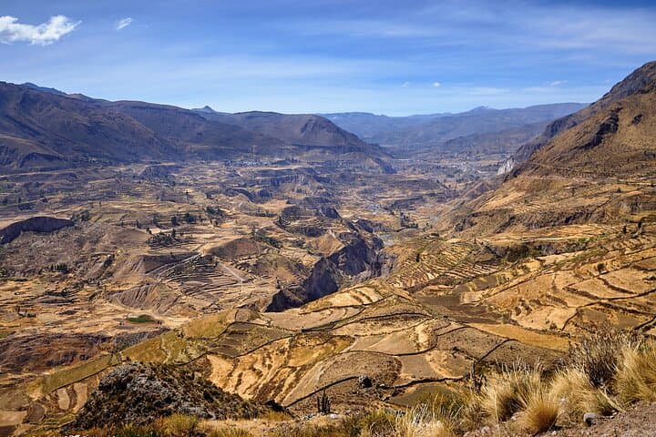 Colca Canyon Cruz del Cóndor Condor-Watching Day Tour from Arequipa photo 3