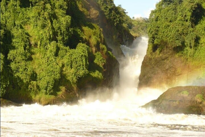 5-Day Murchison Falls & Chimpanzee Safari — Murchison Falls National Park, Uganda photo 2