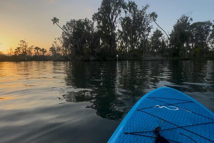 Crystal River Sunrise Kayak Tour with Manatees in Kings Bay