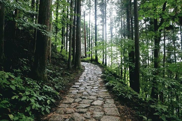 Hike the Nakasendo Trail: Tsumago to Magome Day Hike from Nagoya photo 3