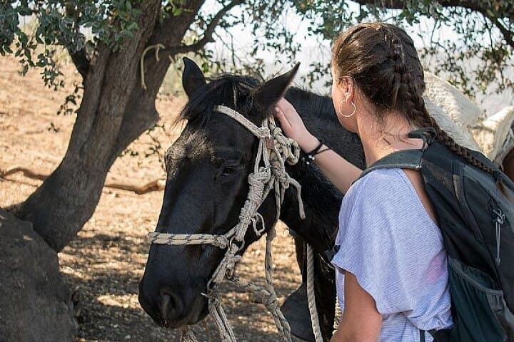 Sunset Horseback Ride Above Santiago — Appetizers and City Views photo 2