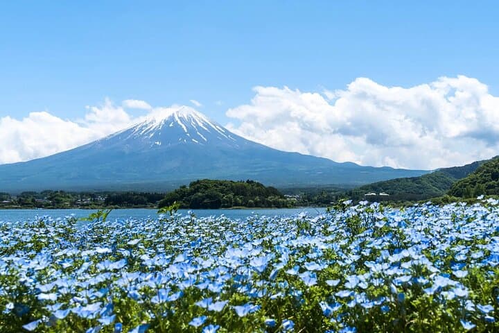 Mount Fuji Day Trip from Tokyo: Explore Lake Kawaguchiko, Ropeway & Art Museum photo 1