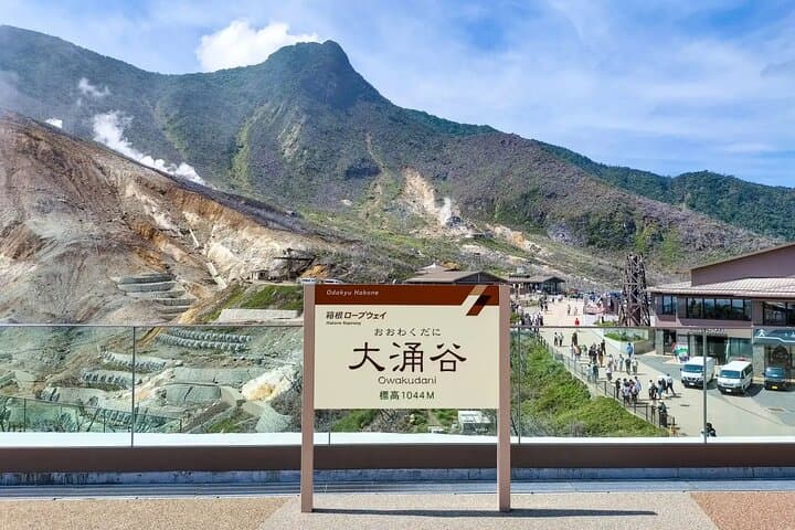 Day Trip to Hakone: Ropeway, Owakudani, Lake Ashinoko & Hakone Shrine photo 5