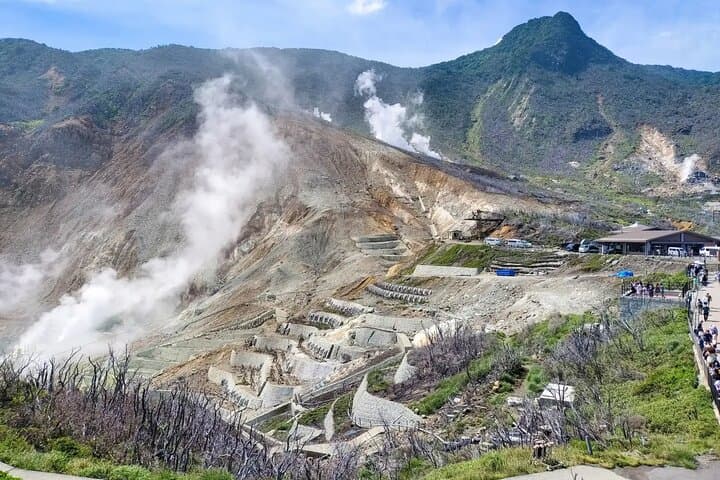 Day Trip to Hakone: Ropeway, Owakudani, Lake Ashinoko & Hakone Shrine photo 6