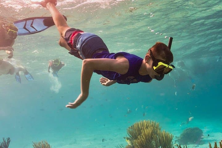 Snorkel the Puerto Morelos Reef: Mesoamerican Barrier Reef Day Trip from Cancun photo 2