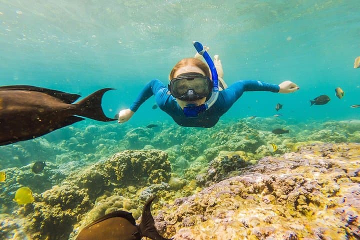 Snorkel the Puerto Morelos Reef: Mesoamerican Barrier Reef Day Trip from Cancun photo 4