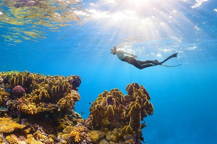 Snorkel the Puerto Morelos Reef: Mesoamerican Barrier Reef Day Trip from Cancun photo 3