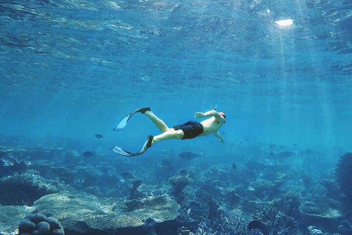 Cozumel Snorkel & Turtle Swim: El Cielo, El Cielito and Colombia Reef photo 2