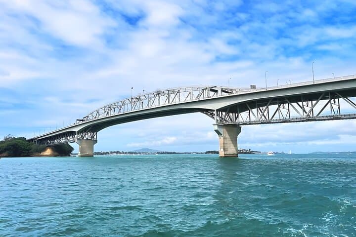 Auckland Harbour Wine and Cheese Cruise — Scenic Red Boats Experience photo 3