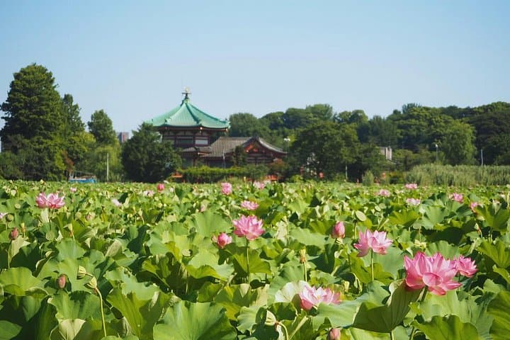 Ueno and Yanaka Culture & Art Walking Tour — Old Tokyo Highlights photo 4