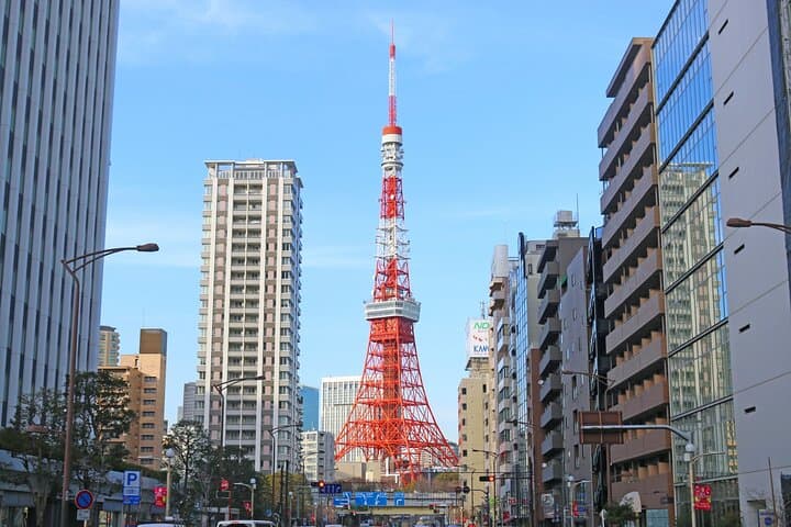 Tokyo Walking Tour: Sumo, Sushi, Tea, Temples & Tokyo Tower photo 4