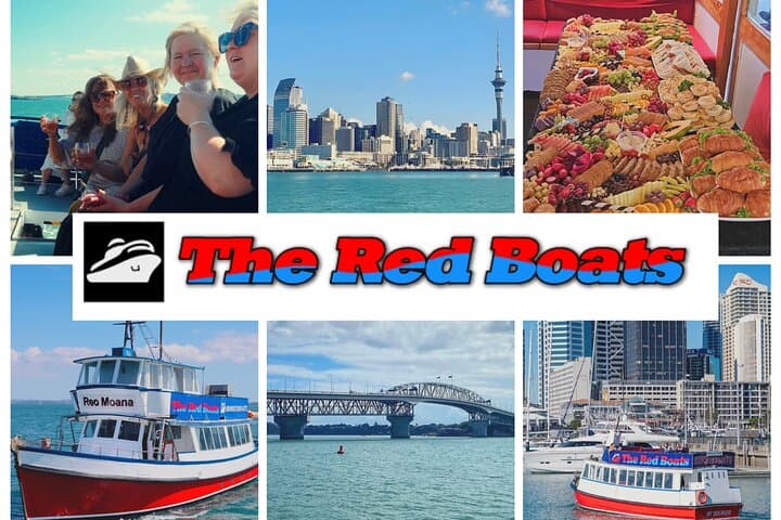 Auckland Harbour Wine and Cheese Cruise — Scenic Red Boats Experience photo 5