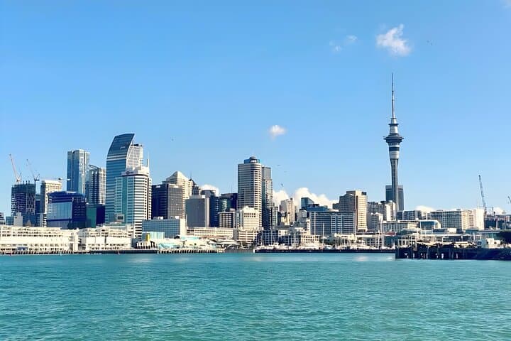Auckland Harbour Wine and Cheese Cruise — Scenic Red Boats Experience photo 2