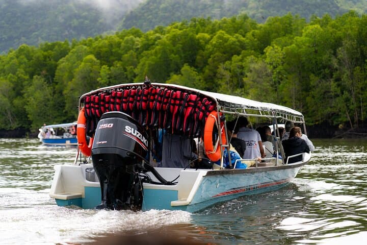 Private Mangrove Boat Tour: 2-Hour Kilim Geoforest Exploration, Langkawi photo 2
