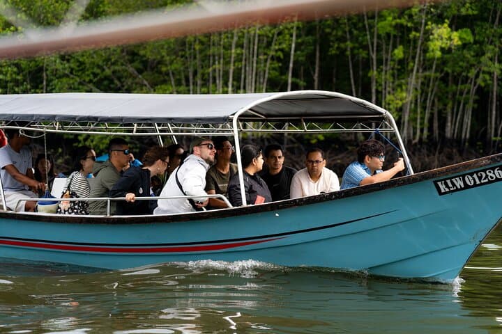 Langkawi Mangrove and Bat Cave Tour — Kilim Geoforest Boat Cruise with Seafood Lunch photo 6