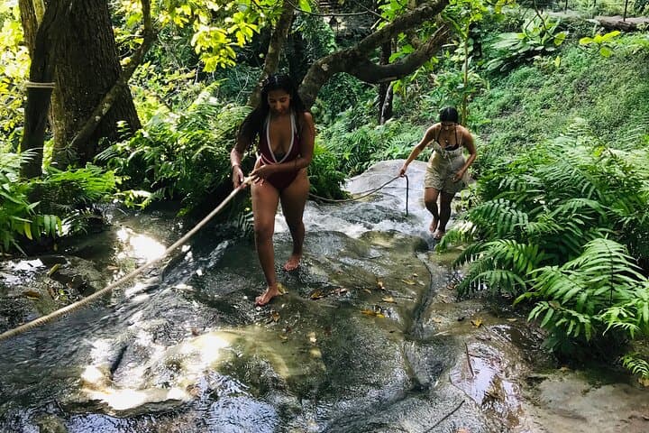 Chiang Mai Sticky Waterfall & Ethical Elephant Sanctuary Day Trip with Blue Temple photo 2